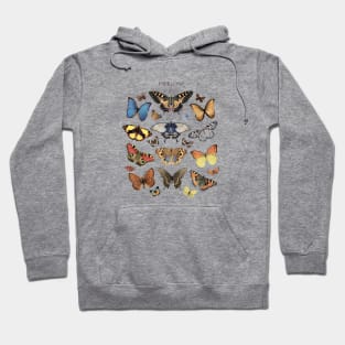 Papillons Butterfly Collage Art Hoodie